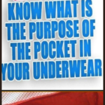 Girls Do You Know What Is The Purpose Of The Pocket In Your Underwear